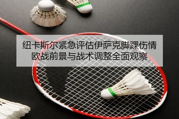 纽卡斯尔紧急评估伊萨克脚踝伤情 欧战前景与战术调整全面观察 - kaiyun