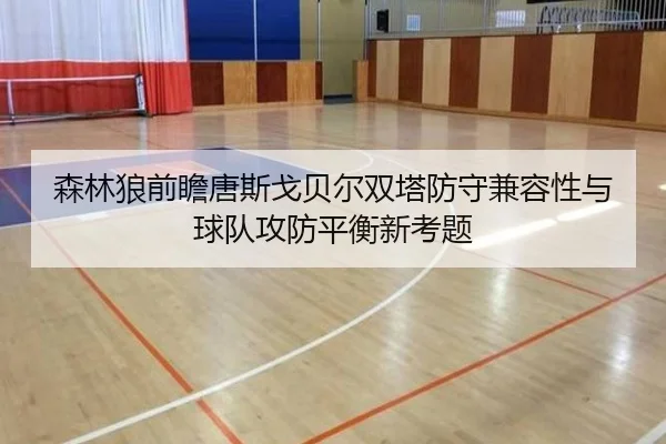 森林狼前瞻唐斯戈贝尔双塔防守兼容性与球队攻防平衡新考题 - kaiyun