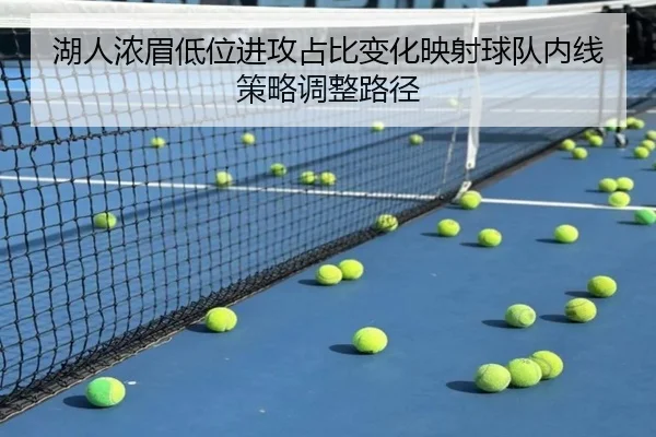 湖人浓眉低位进攻占比变化映射球队内线策略调整路径 - kaiyun